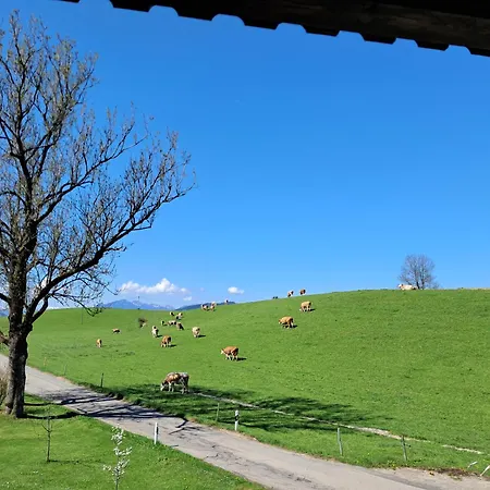 Ferienwohnung Koller 
