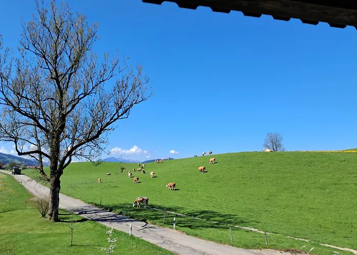 Ferienwohnung Koller \